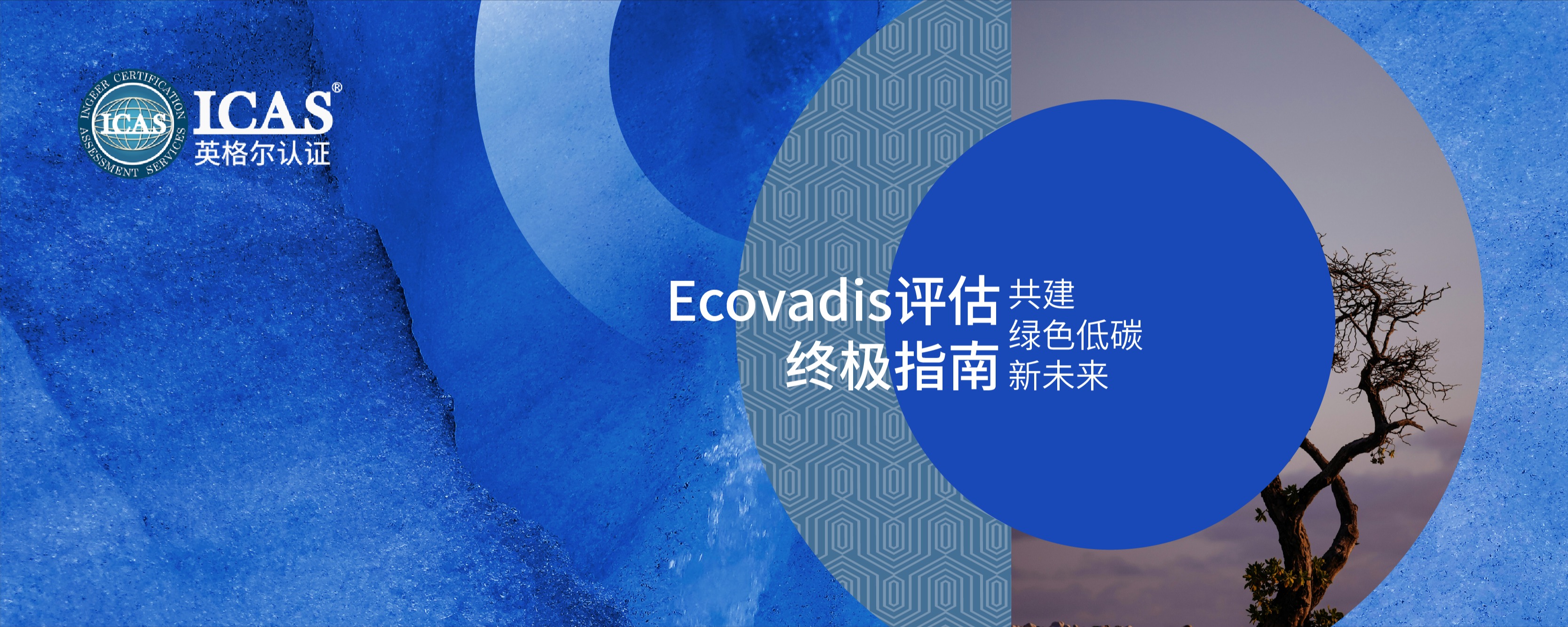 Ecovadis封面圖.png
